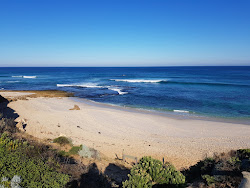 Number Sixteen Beach'in fotoğrafı doğal alan içinde bulunmaktadır
