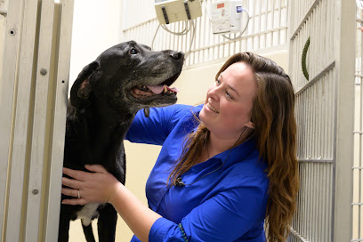 VCA California Veterinary Specialists-Carlsbad