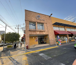 Zapayos De Piel Lobo photo