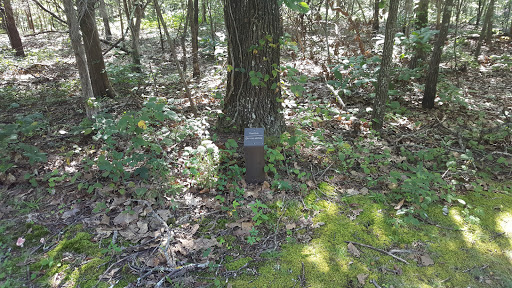 Monument «Meriwether Lewis Monument», reviews and photos, Old Natchez Trace, Hohenwald, TN 38462, USA
