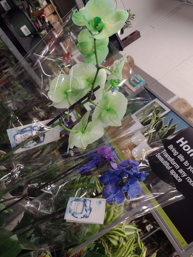 Home Improvement Store «The Home Depot», reviews and photos, 8211 Macedonia Commons Blvd, Macedonia, OH 44056, USA