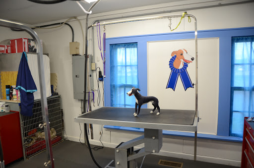 Pet Groomer «Blue Ribbon Dog Grooming LLC Anderson», reviews and photos, 5038 S Scatterfield Rd, Anderson, IN 46013, USA