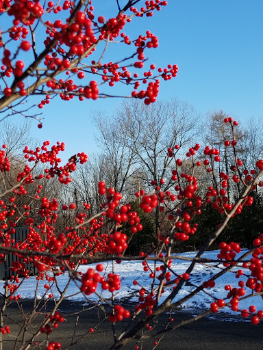 Nature Preserve «Audubon Greenwich», reviews and photos, 613 Riversville Rd, Greenwich, CT 06831, USA