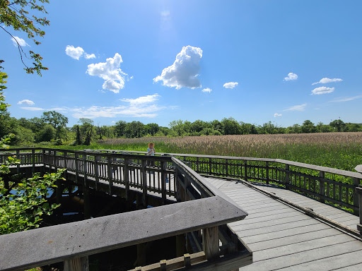 National Park «Kenilworth Park», reviews and photos, 1505 Ancostia Ave NE, Washington, DC 20019, USA