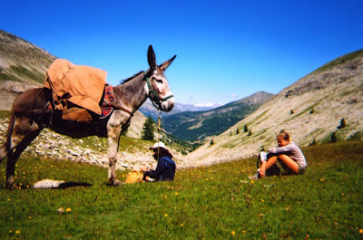 agence de randonnées Itinerance-trekking dans le Mercantour et les Alpes du sud à Guillaumes