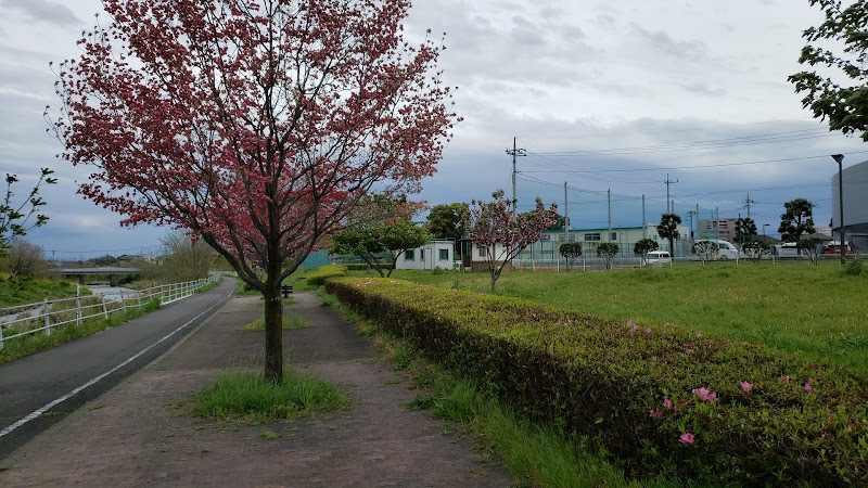 上川原公園(サイクリングロード)