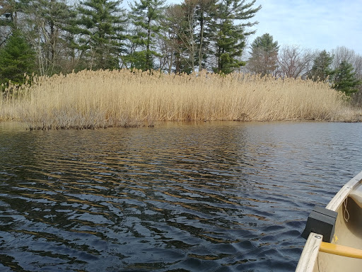 Park «Russell Mill Pond and Town Forest», reviews and photos, 105 Mill Rd, Chelmsford, MA 01824, USA