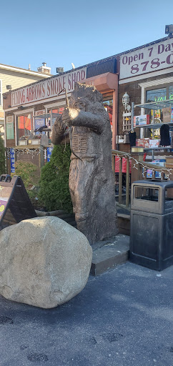 Tobacco Shop «Native Land Smoke Shop», reviews and photos, 136 Poospatuck Ln, Mastic, NY 11950, USA