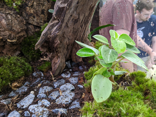 Pet Store «Animal Ark Pet Stores», reviews and photos, 33 Center St, Orem, UT 84057, USA