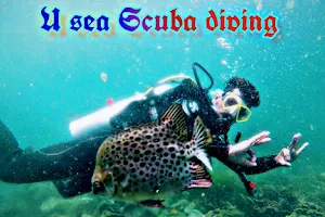 U Sea Scuba Diving Malvan Tarkarli water sports image