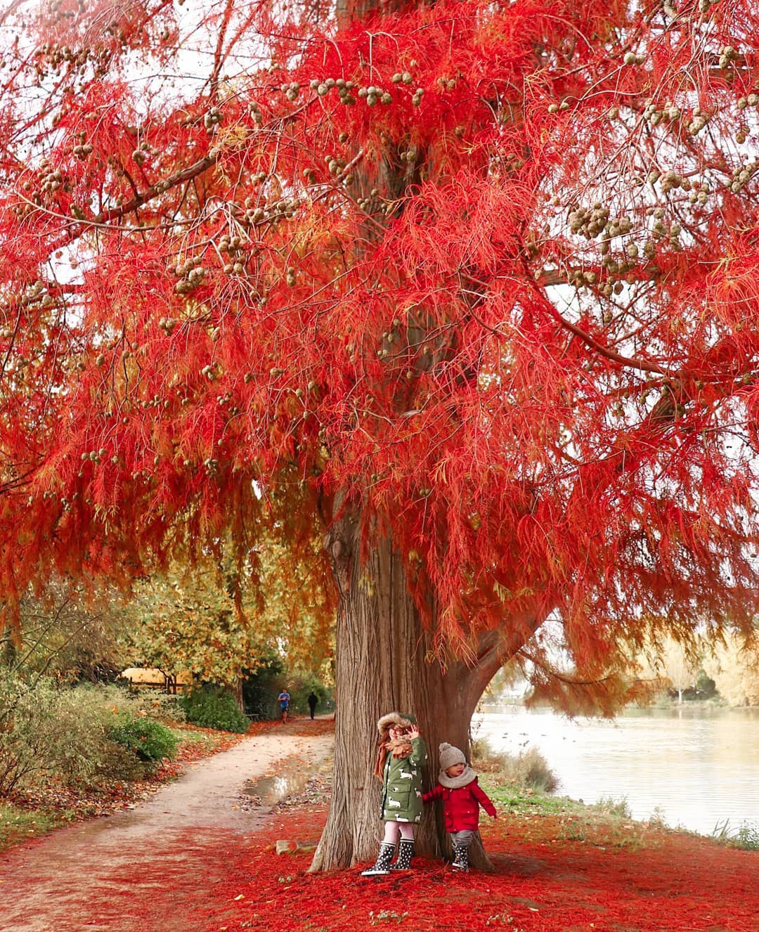 Photo n° 1 de l'avis de Annaelle.u fait le 04/10/2019 à 09:17