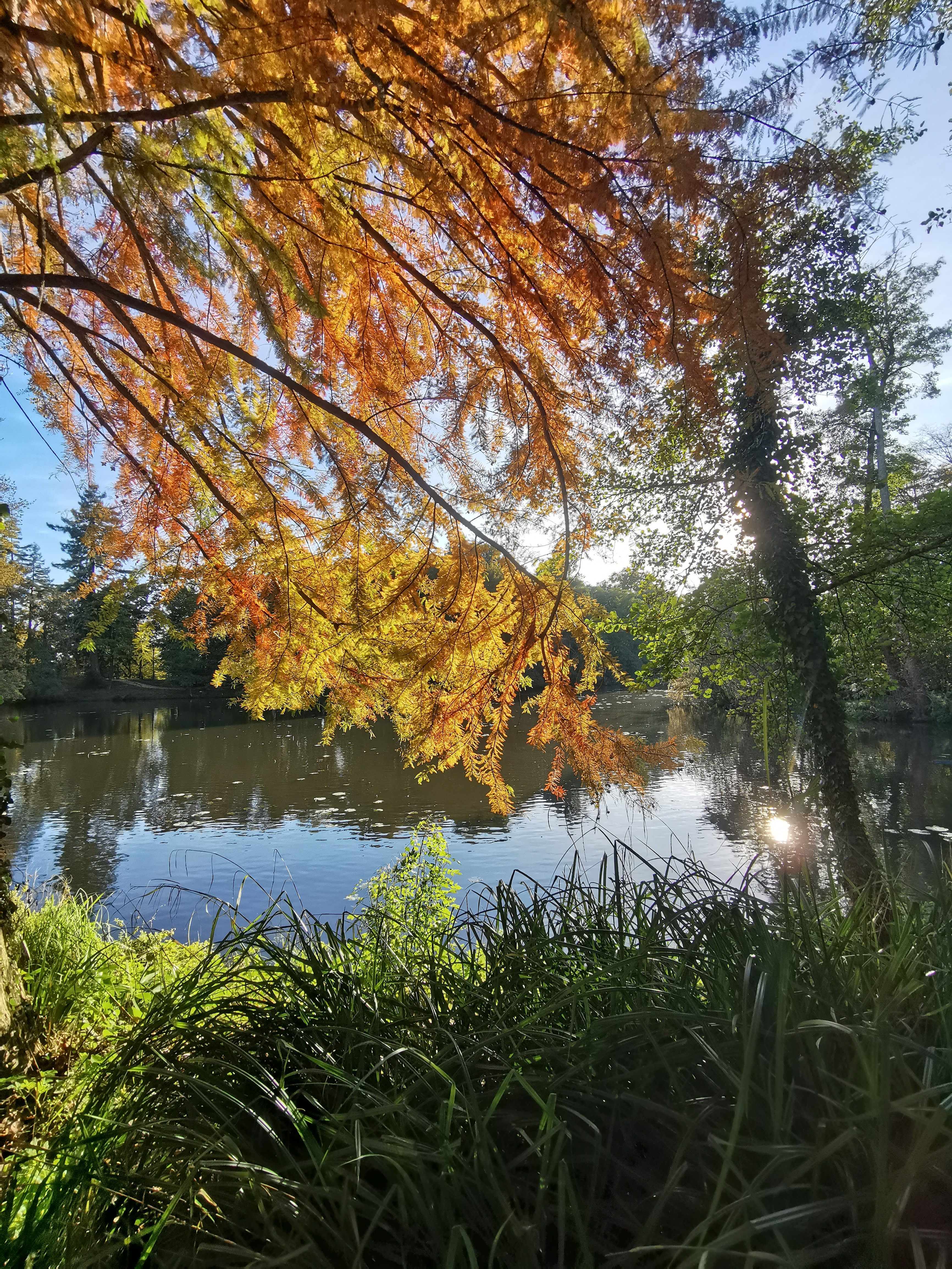 Photo n° 7 de l'avis de Alexandre.l fait le 27/10/2021 à 18:59