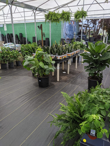 Golf Course «Osceola Municipal Golf Course», reviews and photos, 300 Tonawanda Dr, Pensacola, FL 32506, USA