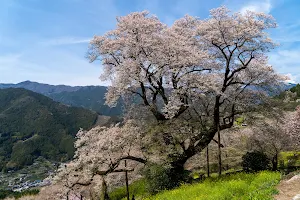 Hyotan Sakura Park image