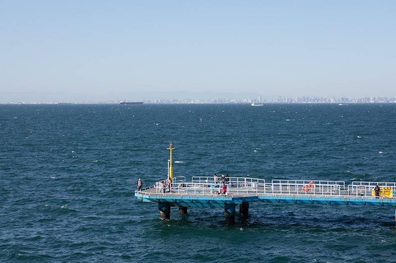 オリジナルメーカー海釣り公園 千葉県市原市五井南海岸 釣り桟橋 グルコミ