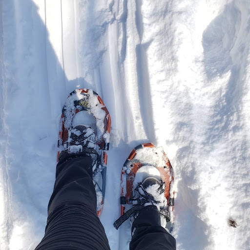 Nature Preserve «W w Knight Nature Preserve», reviews and photos, 29530 White Rd, Perrysburg, OH 43551, USA