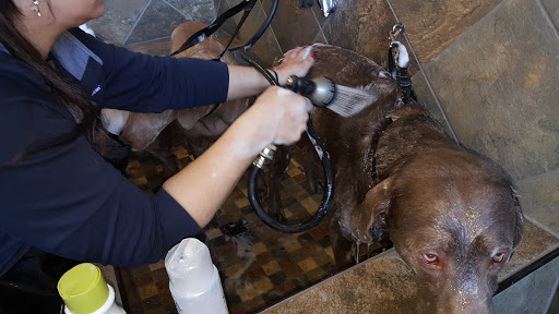 Pet Store «Pet Valu», reviews and photos, 134 S Ridge St, Rye Brook, NY 10573, USA