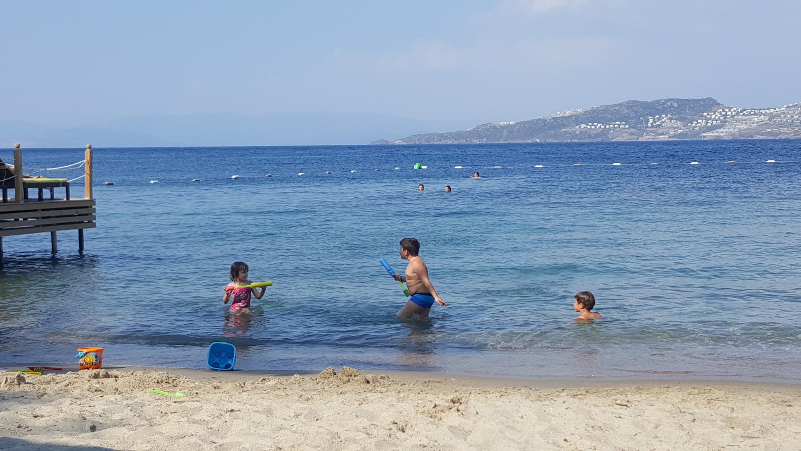 Dodo Beach photo #5