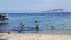 Dodo Beach photo #5