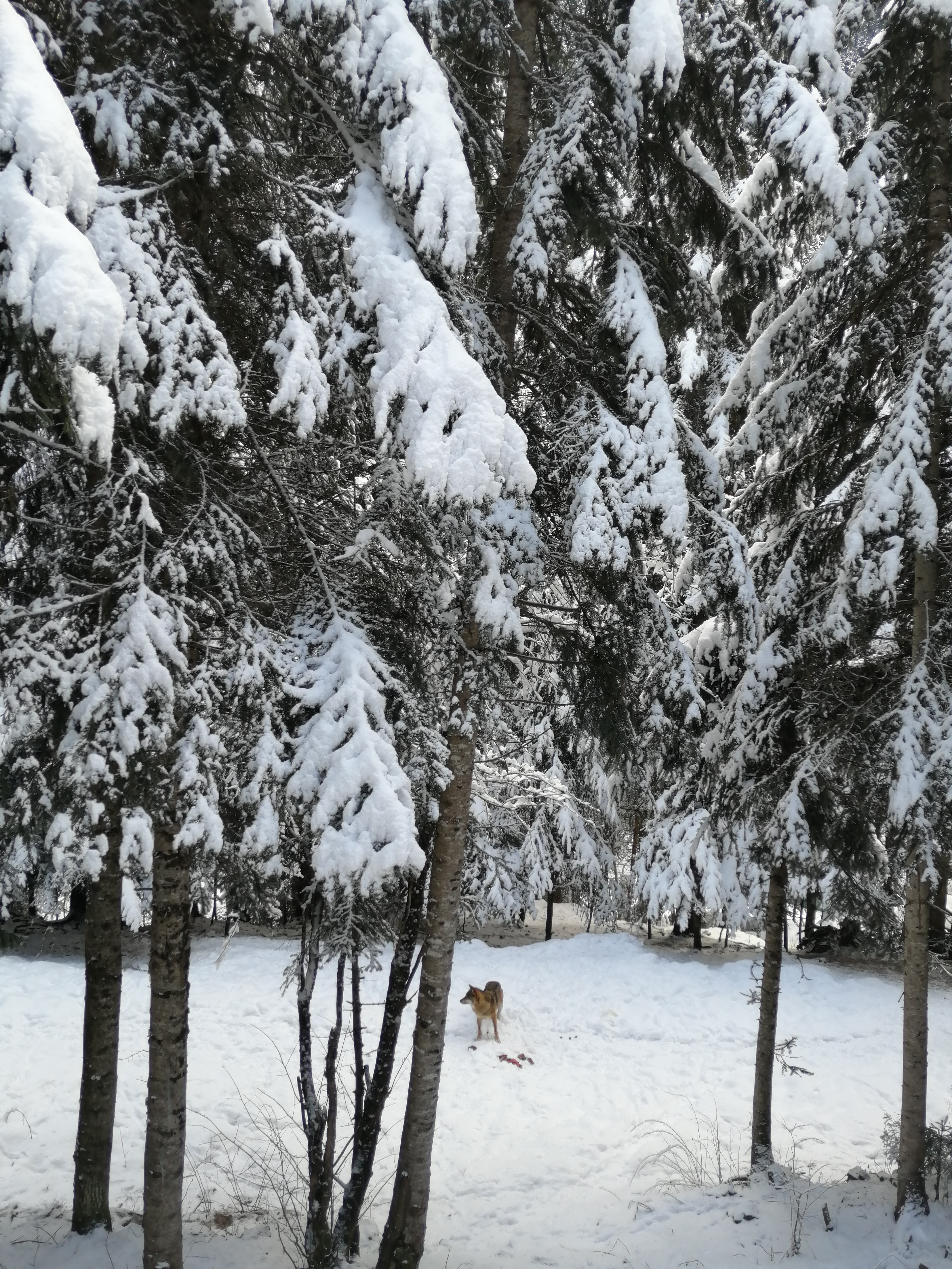 Photo n° 1 de l'avis de Valeriane.A fait le 04/02/2020 à 20:27