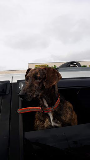 Discount Store «Dollar General Market», reviews and photos, 961 N Ellington Pkwy, Lewisburg, TN 37091, USA