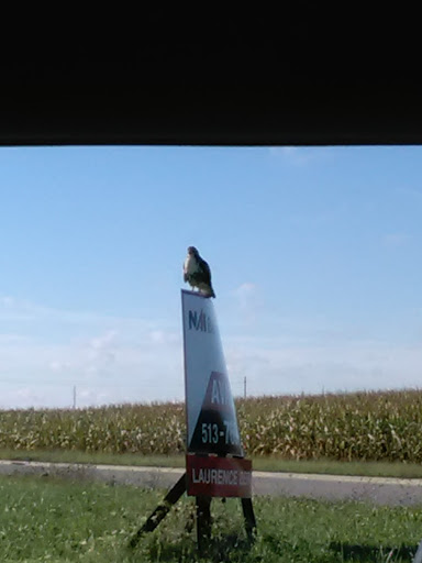 Supermarket «ALDI», reviews and photos, 200 Commerce Blvd, Washington Court House, OH 43160, USA