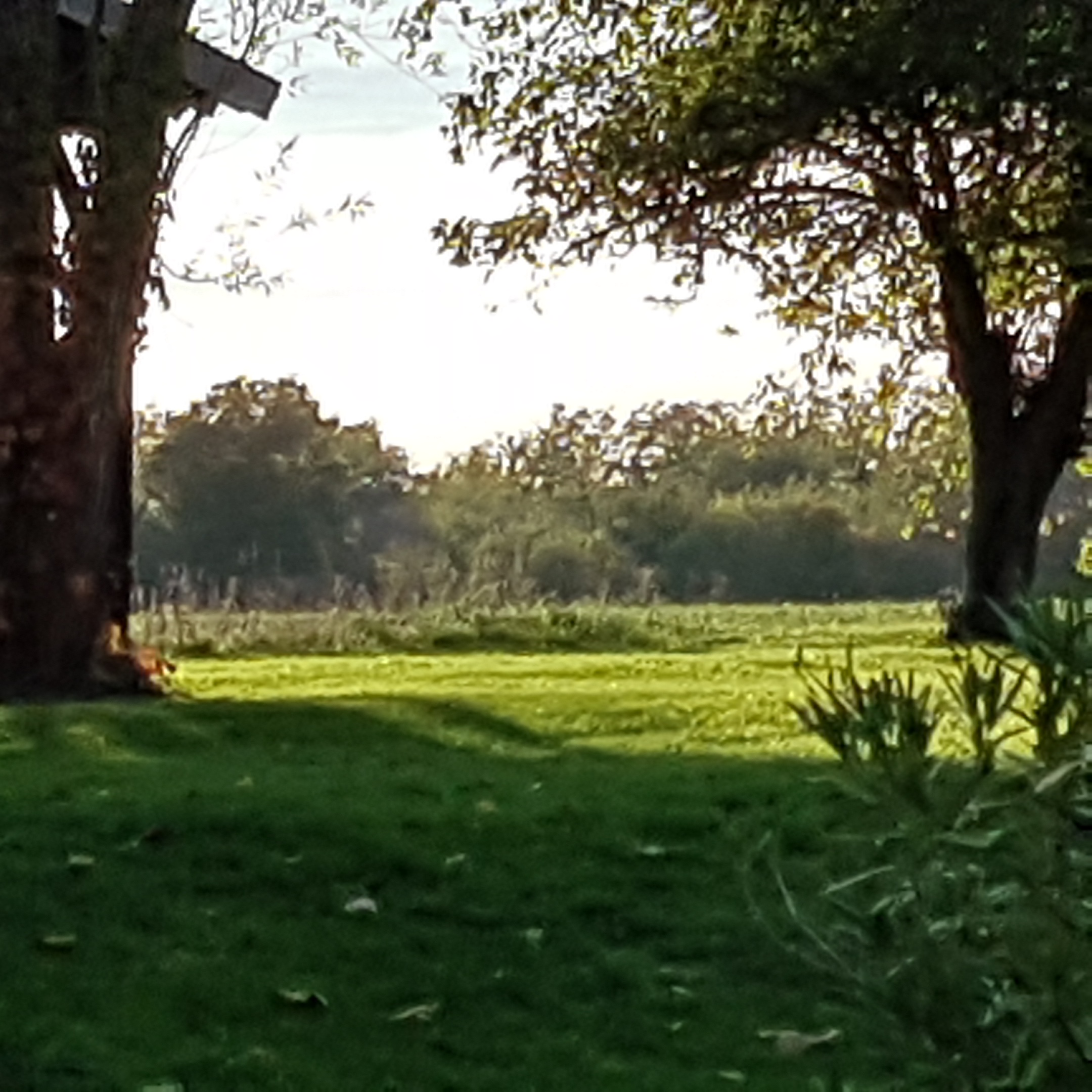 Photo n° 4 de l'avis de Catherine.u fait le 12/11/2019 à 06:20