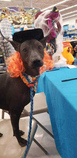 Pet Supply Store «Petco Animal Supplies», reviews and photos, 11639 S Pkwy Plaza Dr, South Jordan, UT 84095, USA