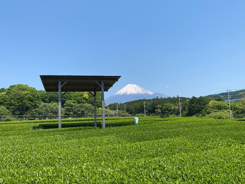 富士山まる茂茶園（株）