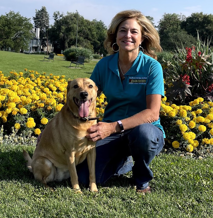 Bark Busters Home Dog Training Denver SouthEast Region