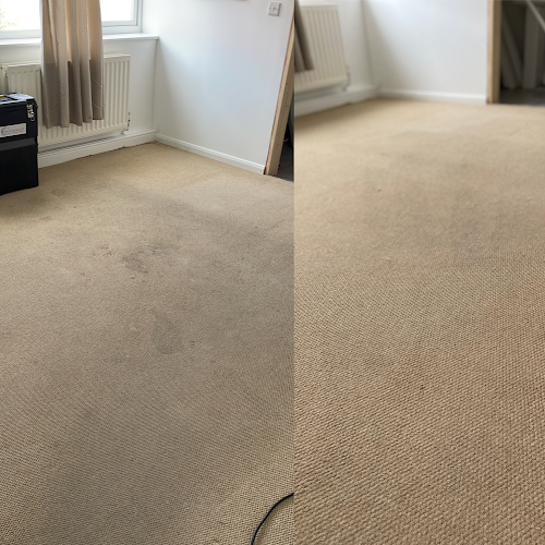 Focus on Quality Carpet Cleaning & Cleaning Services - Bristol