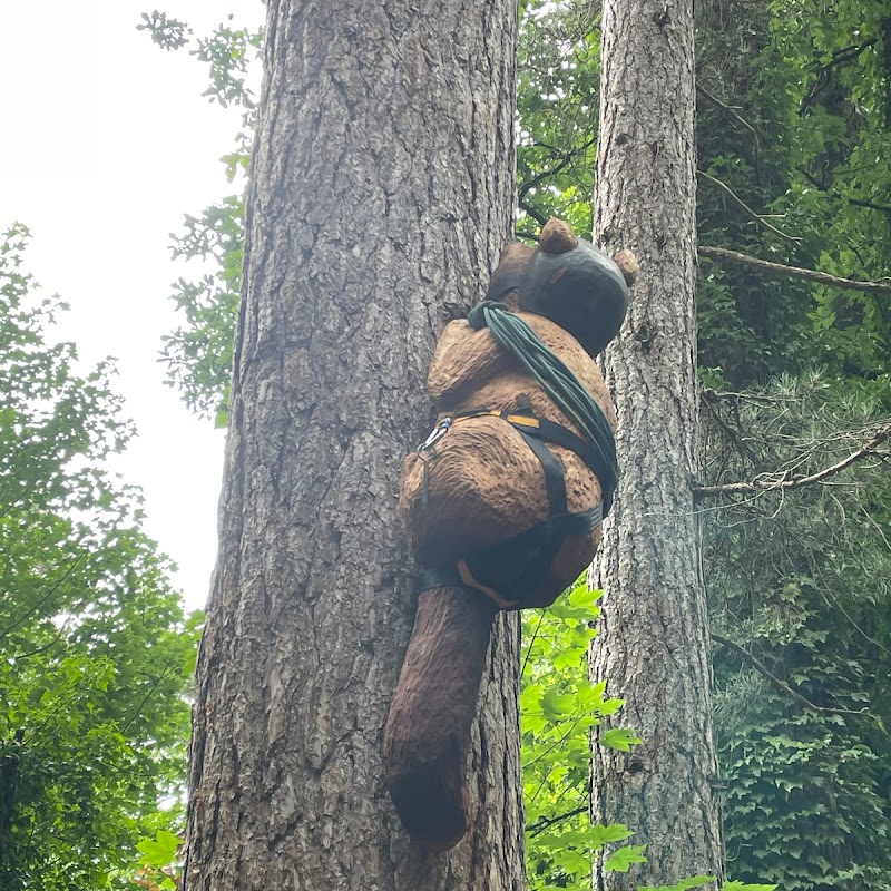 Hanmer Heritage Forest Trust