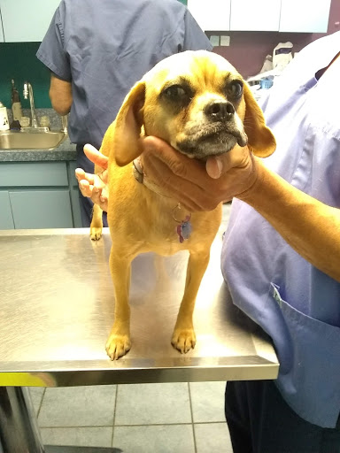 691 Glen Cove Rd, Glen Head, NY 11545, USA