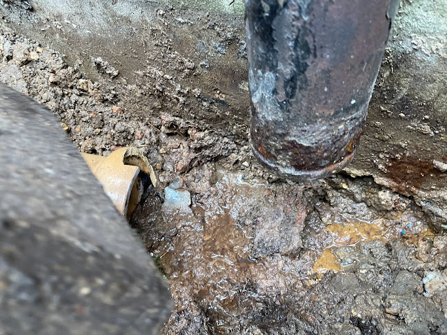 Comments and reviews of Drain Doctor Watford