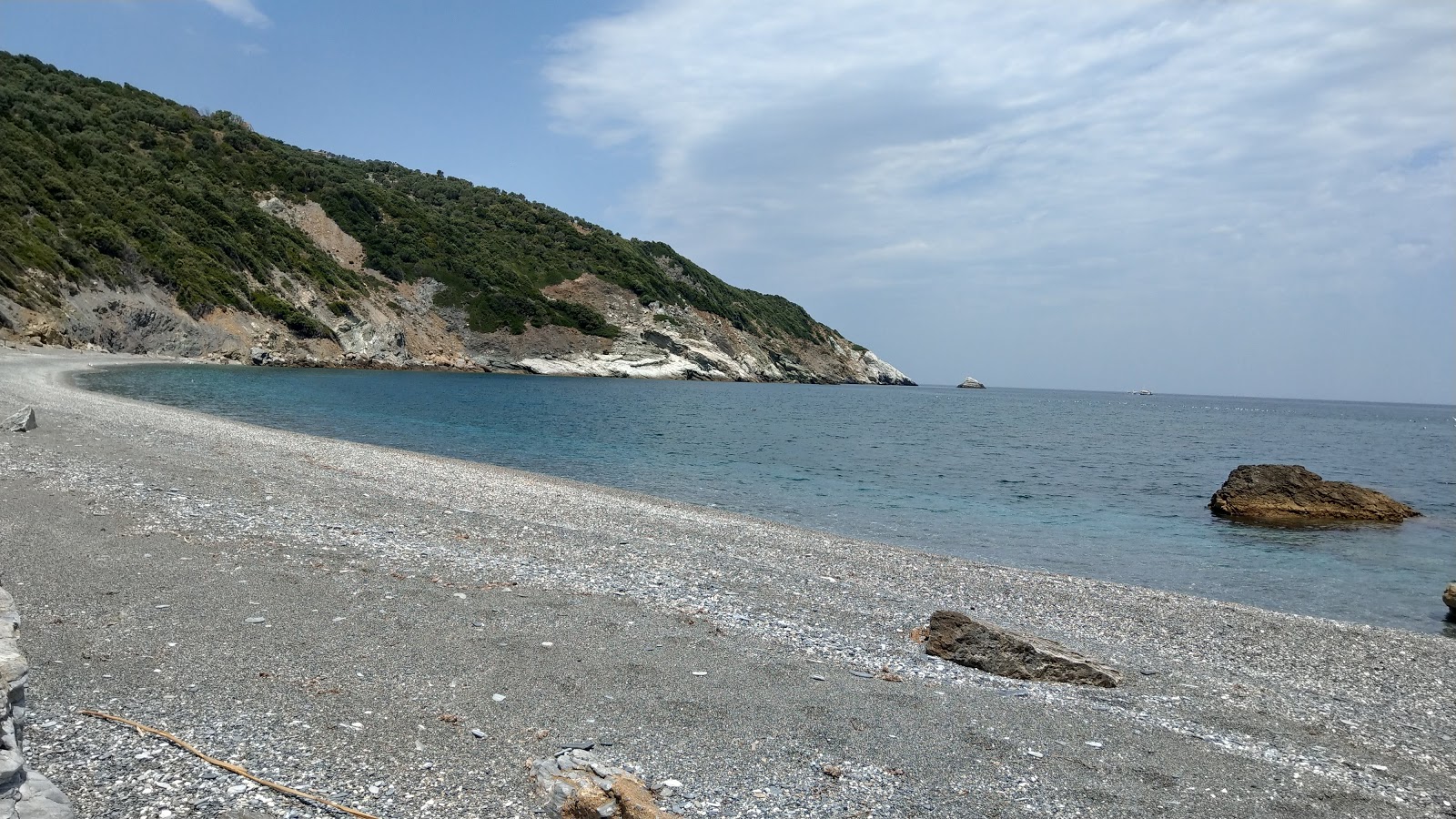 Foto af Megas Gialos beach vildt område