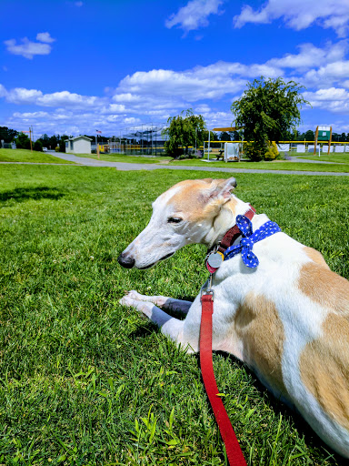 Park «East Snyder Park», reviews and photos, 875 University Ave, Selinsgrove, PA 17870, USA