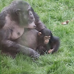 Photo n° 3 de l'avis de Nanou.o fait le 11/03/2022 à 07:52 pour ZooParc de Beauval Entrée Nord à Saint-Aignan