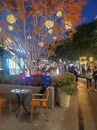 Shopping Mall «Westfield UTC», reviews and photos, 4545 La Jolla Village Dr e, San Diego, CA 92122, USA