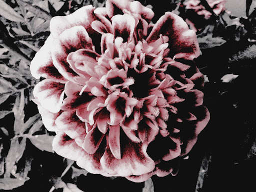 Discount Store «Walmart», reviews and photos, County Rd 513, Clinton, NJ 08809, USA