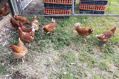 Hunter Valley Hens And Grain