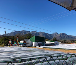 Mooiberge Farmstall photo