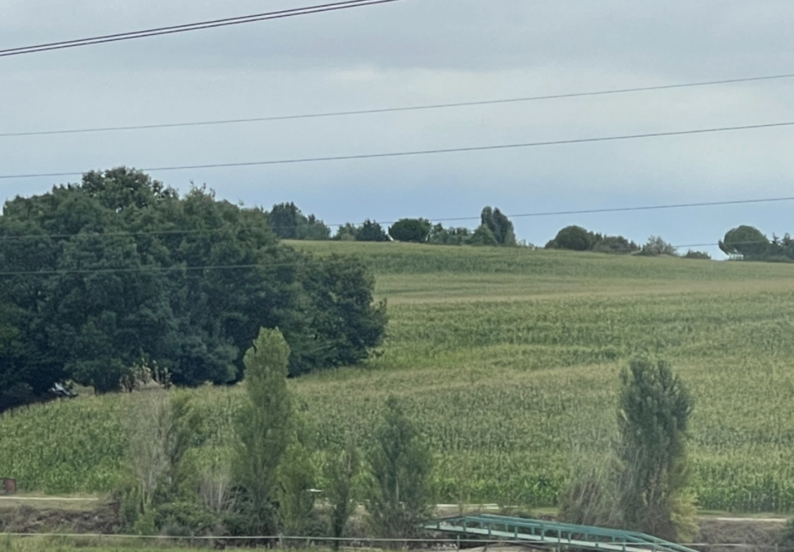 Photo n° 1 de l'avis de isabelle.a fait le 02/10/2021 à 15:54