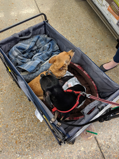 Pet Supply Store «Petco Animal Supplies», reviews and photos, 2358 S Range Ave, Denham Springs, LA 70726, USA