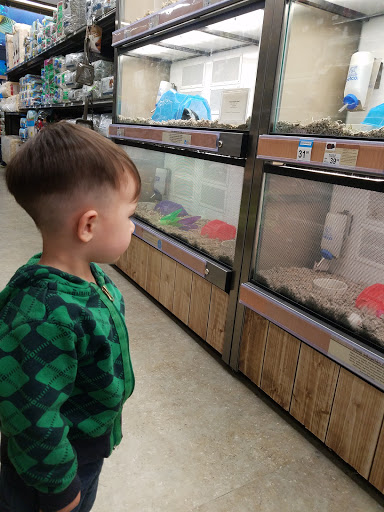 Pet Supply Store «Petco Animal Supplies», reviews and photos, 25451 Horace Harding Expy, Little Neck, NY 11362, USA