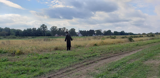 Produce Market «Solly Brothers», reviews and photos, 707 Almshouse Rd, Warminster, PA 18974, USA