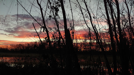 Nature Preserve «Marais Temps Clair Conservation Area», reviews and photos, 5134 Island Road, St Charles, MO 63301, USA