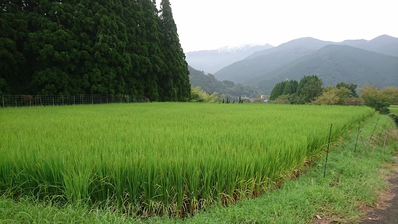 高津商店