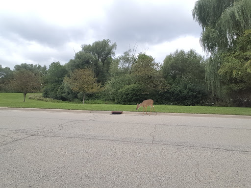 Public Golf Course «Greenfield Golf Course», reviews and photos, 12035 W Greenfield Ave, Milwaukee, WI 53214, USA