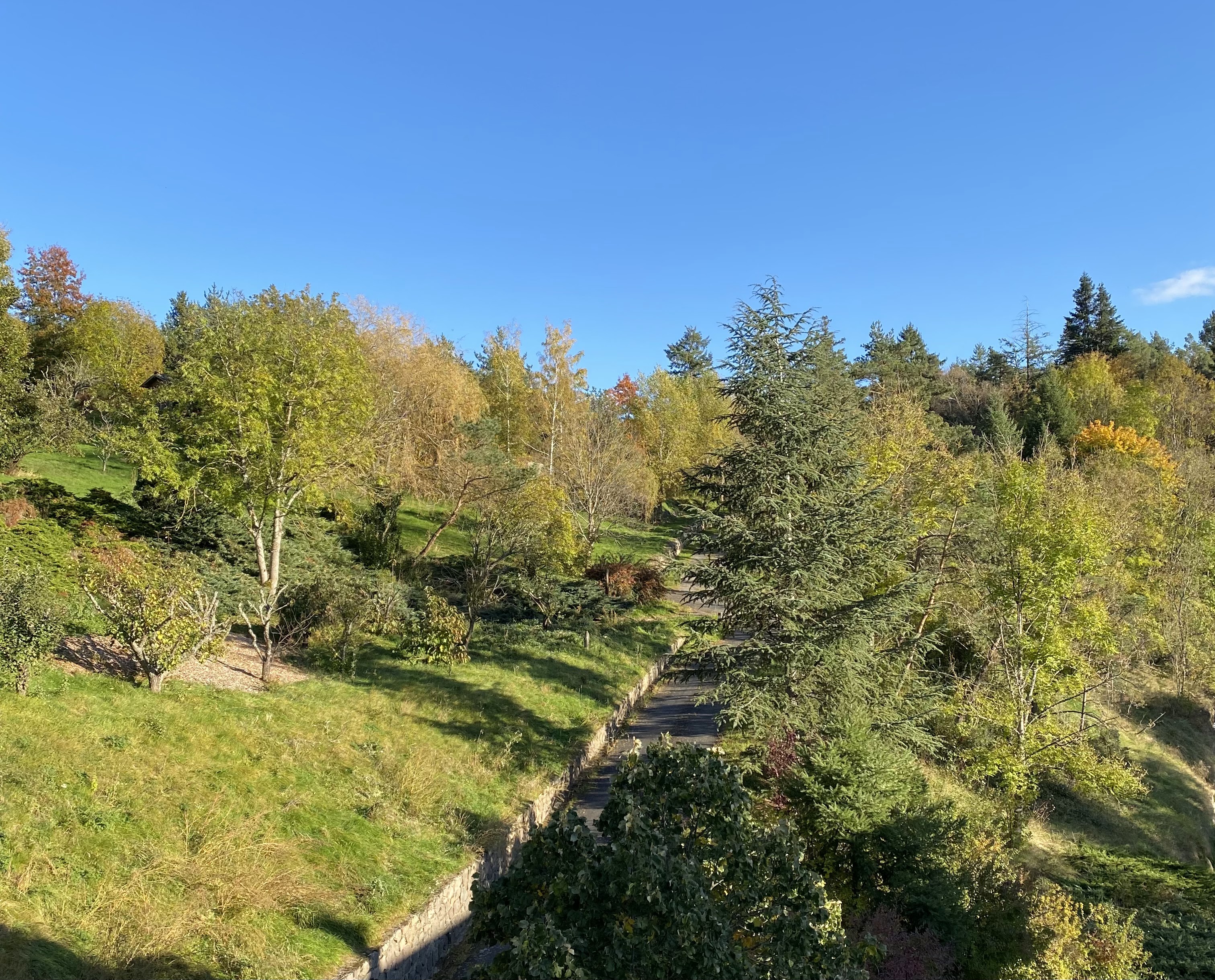 Photo n° 31 de l'avis de Cyrille.E fait le 24/10/2021 à 19:21