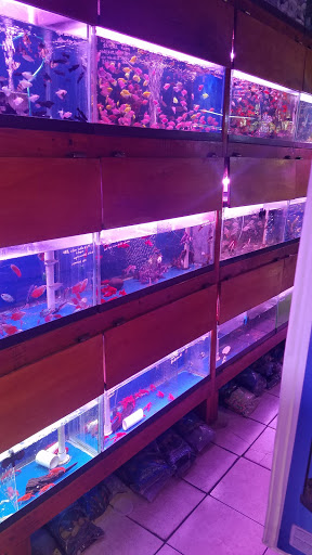 Pet Supply Store «New Lucky Fish Aquarium & Pet Supply», reviews and photos, 4818 8th Ave, Brooklyn, NY 11220, USA